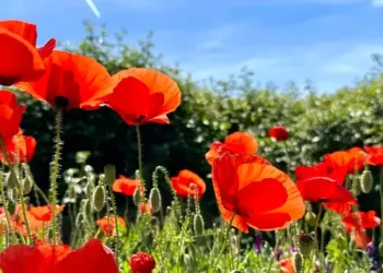 Douceur et jusqu’à 26° pour ton week-end à Montpellier