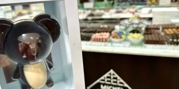 Une bonne adresse au Comptoir du Chocolat