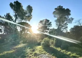 Grand soleil toute la semaine à Montpellier