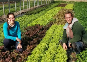L'Hérault, de Ferme en ferme : découvrez les coulisses de l'agriculture locale !
