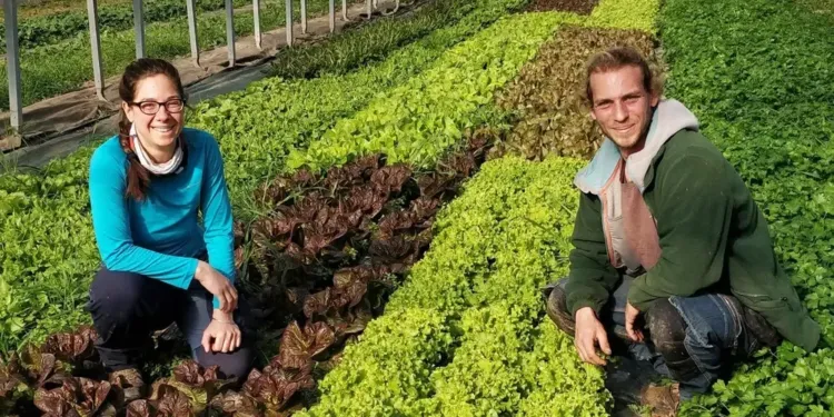 L'Hérault, de Ferme en ferme : découvrez les coulisses de l'agriculture locale !