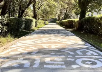 Montpellier : une fresque géante à la cité U Boutonnet