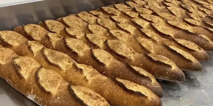 Où trouver la meilleure baguette de tradition française du département ?