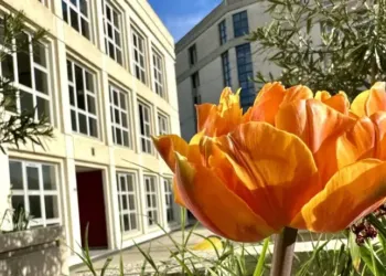 Soleil et 22° pour ta semaine