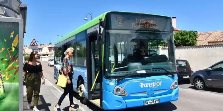 Transp’Or & Mobilités : ton alliée pour des trajets tranquilles en Pays de l’Or