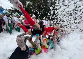 Une immersion au cœur de la Ruée des fadas, une course de dingos