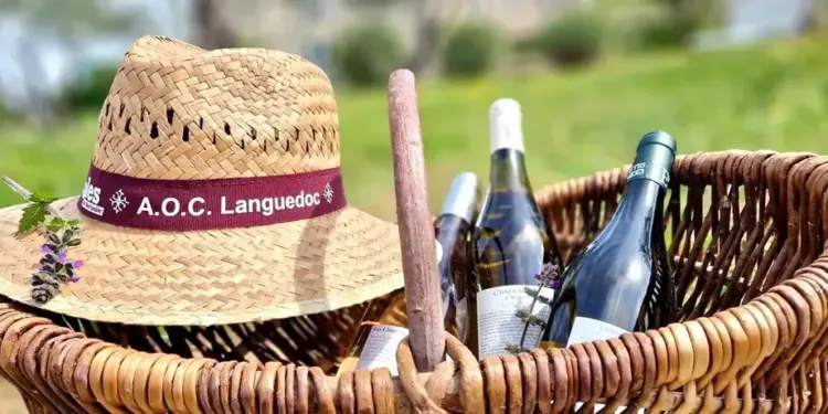 Brunch à volonté à Saporta : laissez le rosé ramener sa fraise !