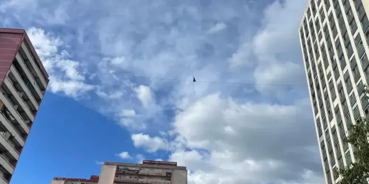 Insolite : l’impressionnante performance d'un funambule entre deux tours d’immeubles à Montpellier