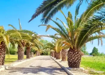 Le Domaine de Muria : une adresse qui  saura vous surprendre à 20 minutes