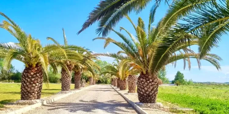 Le Domaine de Muria : une adresse qui  saura vous surprendre à 20 minutes