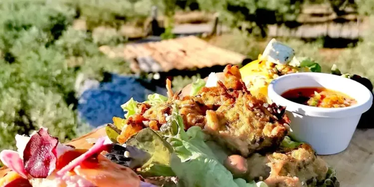 Le festival Voyagez Gourmands s’installe au domaine de l’Oulivie