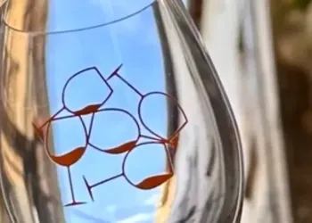 Montpellier : Hotel Pinard, du vin et des plats raffinés