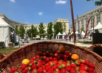 Montpellier : un grand marché gourmand quartier Antigone
