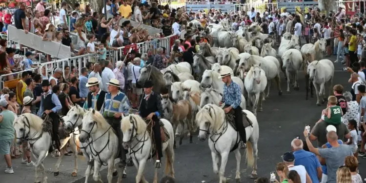 Pescalune 2023 : 7 jours de festivités à Lunel