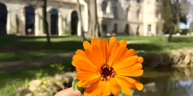 Redécouvrez les joies de l’été avec la BBQ Party du Domaine de Biar