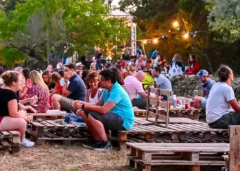 Du vin, de la musique, de l’ambiance, le Domaine de l’Arbousier rythme ton été 