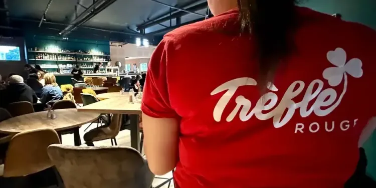 Enigmes, jeux et Quidditch Pong, l’univers Harry Potter s’invite au Trèfle Rouge