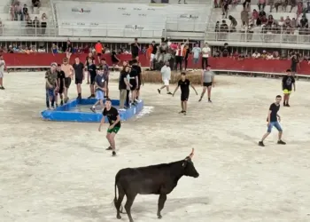 Les toros piscines de Lunel vous donnent rendez-vous tout l’été