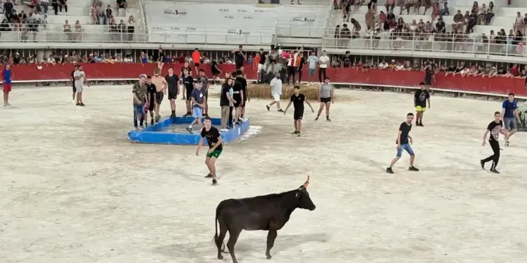 Les toros piscines de Lunel vous donnent rendez-vous tout l’été