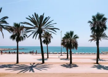 Montpellier-Barcelone revient avec la Renfe et ses petits prix