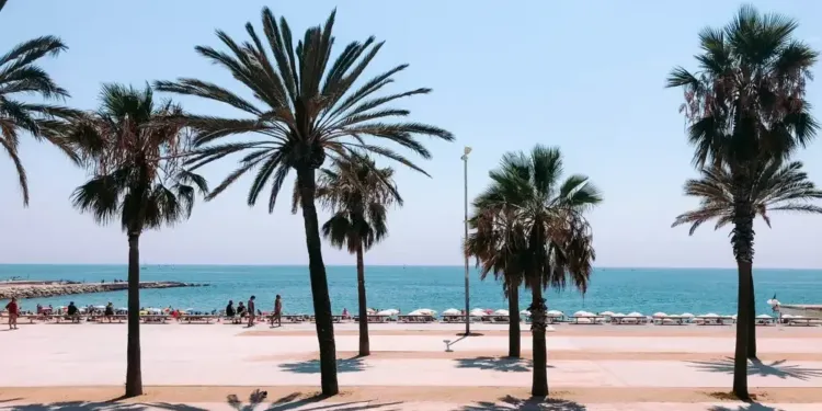 Montpellier-Barcelone revient avec la Renfe et ses petits prix