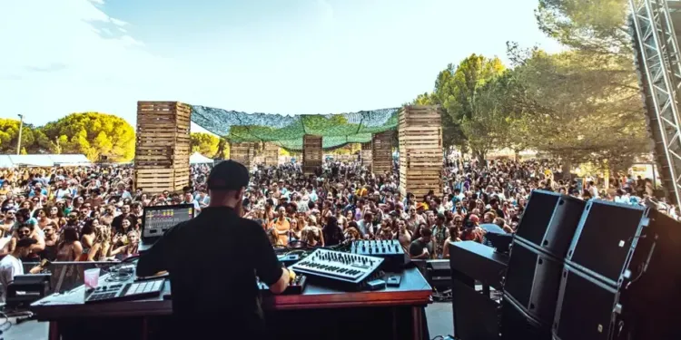 Palmarosa : le festival éco-responsable aux sonorités Indie-Pop rock