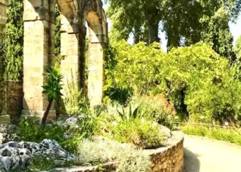 Gagne tes places pour un dimanche électro au jardin des Plantes