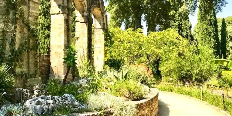 Gagne tes places pour un dimanche électro au jardin des Plantes