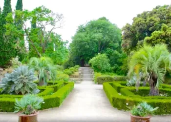 Une soirée électro au jardin des Plantes