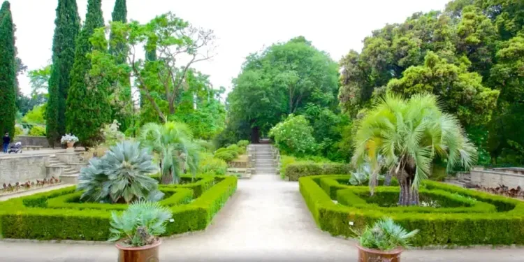 Une soirée électro au jardin des Plantes