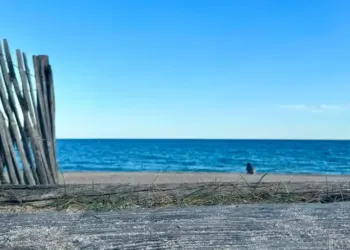 Montpellier : soleil et maxis à la hausse