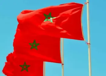 Montpellier : un centre de collecte ouvre pour aider le Maroc
