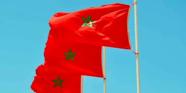 Montpellier : un centre de collecte ouvre pour aider le Maroc