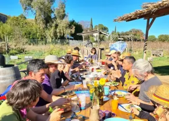 Offrez-vous un déjeuner gourmand, végétal et musical au coeur d’une ferme urbaine à Montpellier
