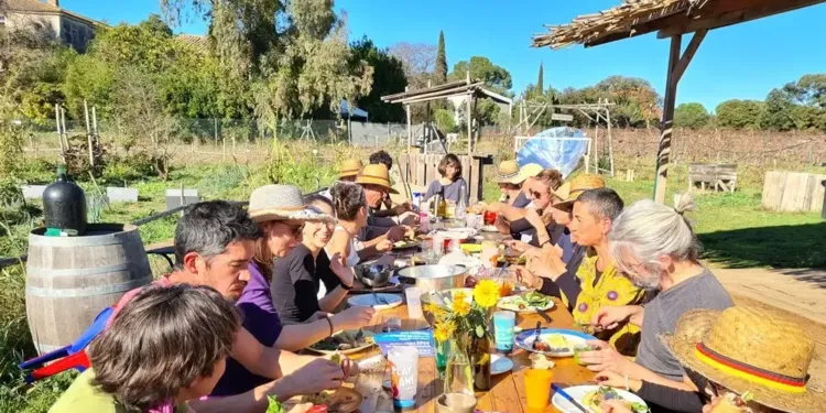 Offrez-vous un déjeuner gourmand, végétal et musical au coeur d’une ferme urbaine à Montpellier