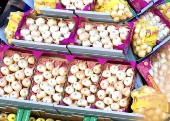 La pomme et l’Oignon des Cévennes font la foire au Vigan 