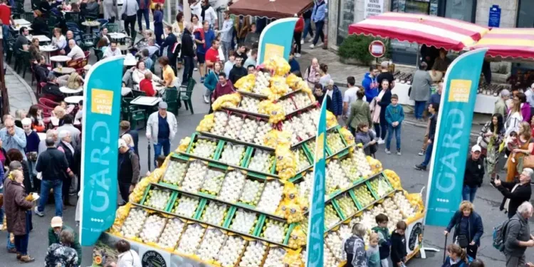 La pomme et l’Oignon des Cévennes font la foire au Vigan