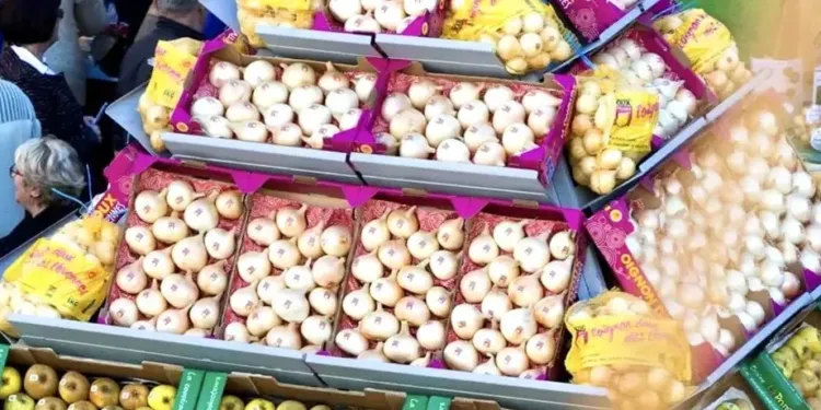 La pomme et l’Oignon des Cévennes font la foire au Vigan 