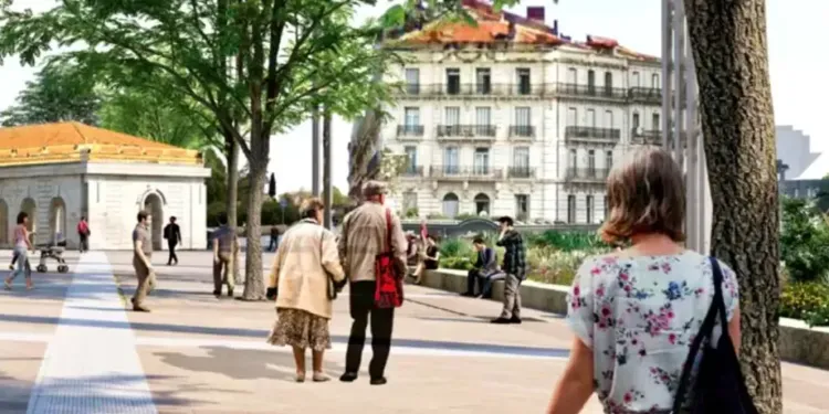 Les arbres seront plantés en novembre sur la Comédie !
