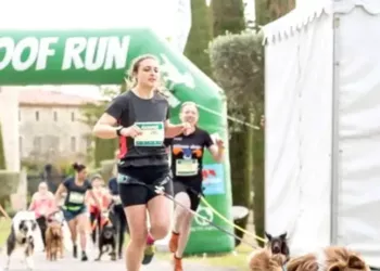 Woofest 2023 : le premier festival pour chiens débarque en Occitanie ! 