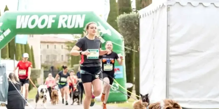 Woofest 2023 : le premier festival pour chiens débarque en Occitanie !