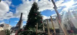 Montpellier : on installe le sapin de Noël !