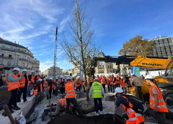 Des arbres arborent désormais la place de la Comédie à Montpellier
