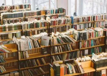 Montpellier : 14 000 livres, BD, mangas… vendus à 0,50 € à la braderie du livre
