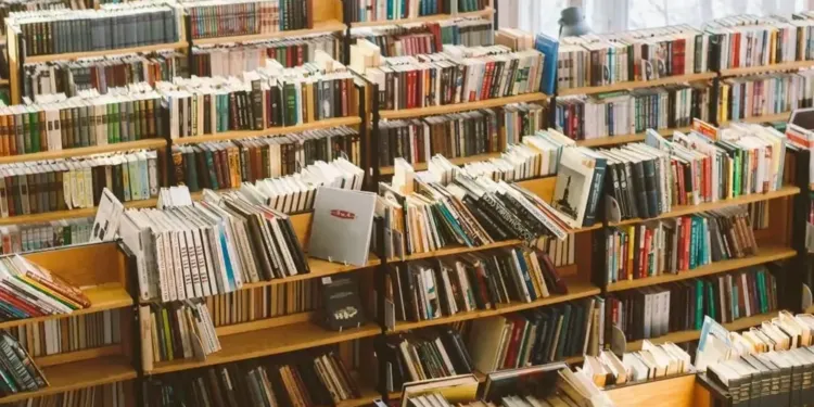 Montpellier : 14 000 livres, BD, mangas… vendus à 0,50 € à la braderie du livre
