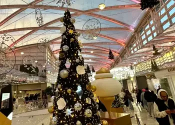Montpellier : c'est déjà Noël au Polygone 