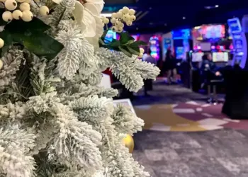 https://www.facebook.com/casinopalavas