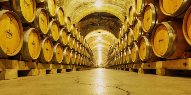 Une vingtaine de vignerons vous ouvrent leurs caves et domaines viticoles