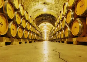 Une vingtaine de vignerons vous ouvrent leurs caves et domaines viticoles