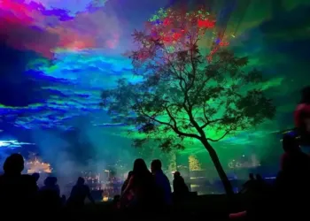ZAT 2023 : nouveau format avec 12h de spectacles sur une seule journée